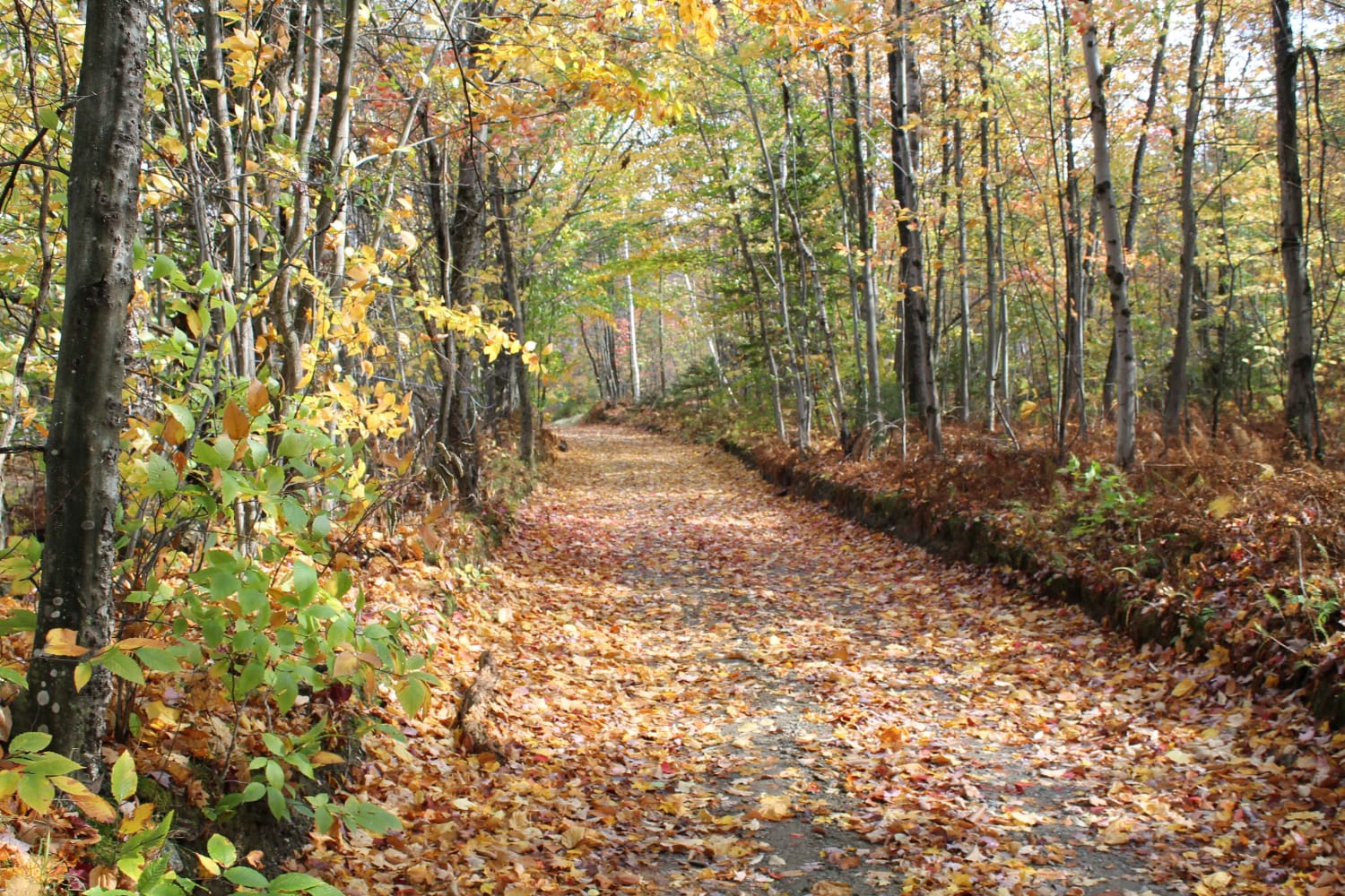 Stock Bridge Road to Woodstock